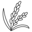 稲のアイコン